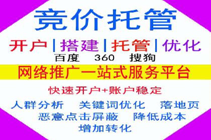 成功SEM托管案例分享：品牌增长之道